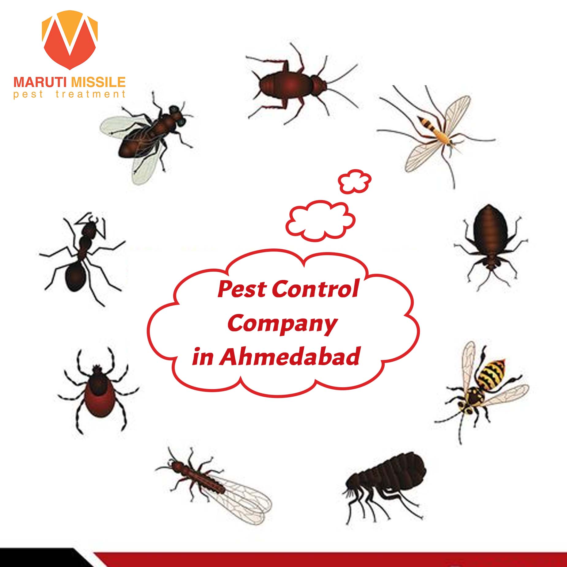 Pest Control Company in Ahmedabad